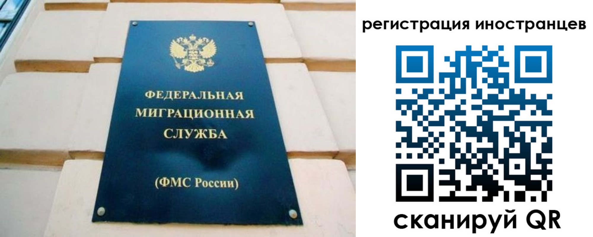 форма 3 в Ельце